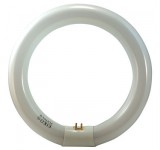 Circline Fluorescent Lamps