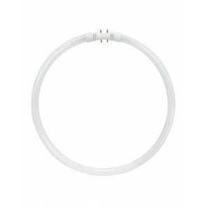 Circline T5 Fluorescent Bulbs