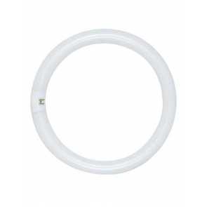Circline T9 Fluorescent Bulbs
