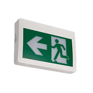 TL-RMES111 TUROLIGHT