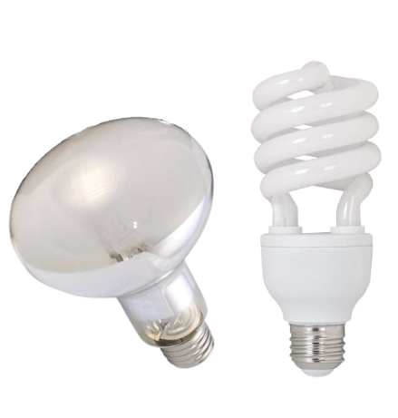 Reptile (Bulbs & Tubes)